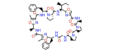 Wewakazole B